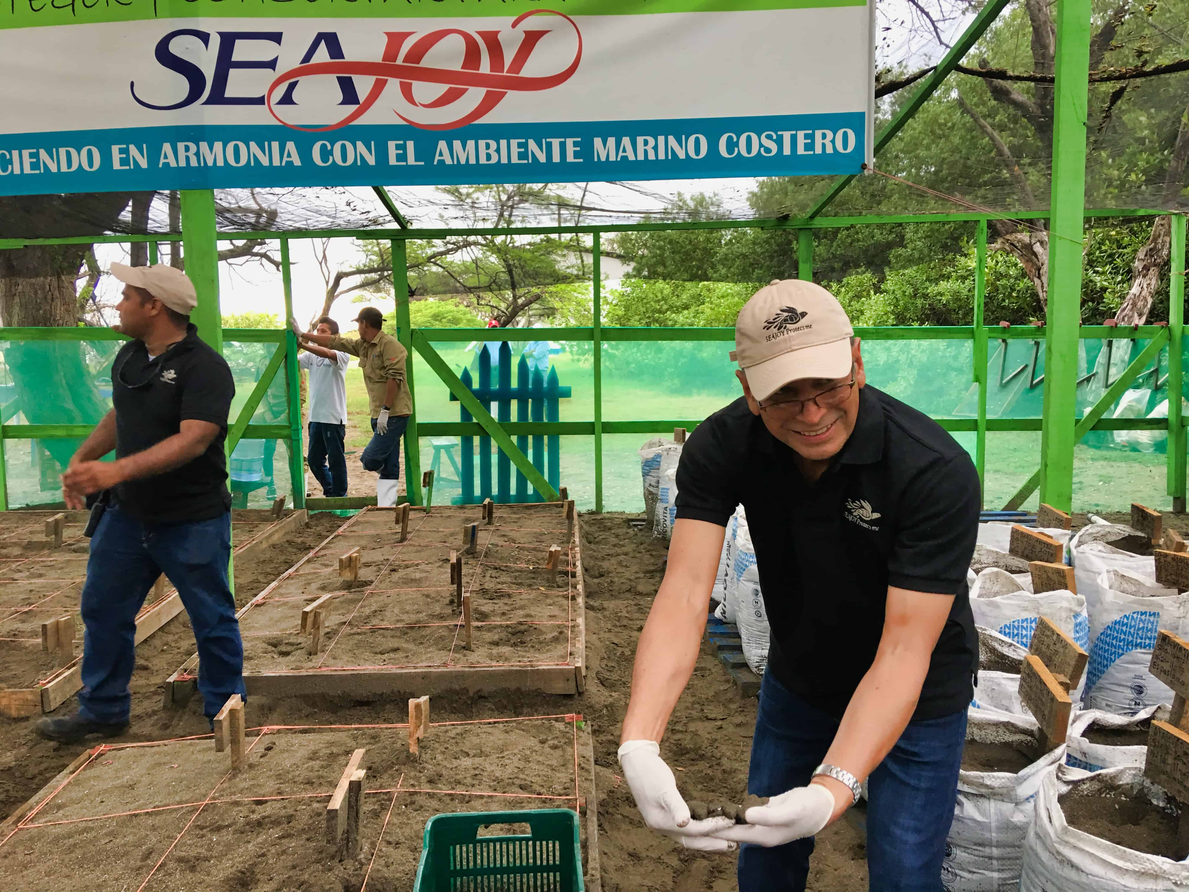Sea Turtles Program