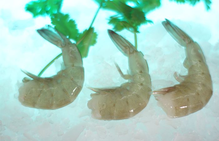 shell-on2